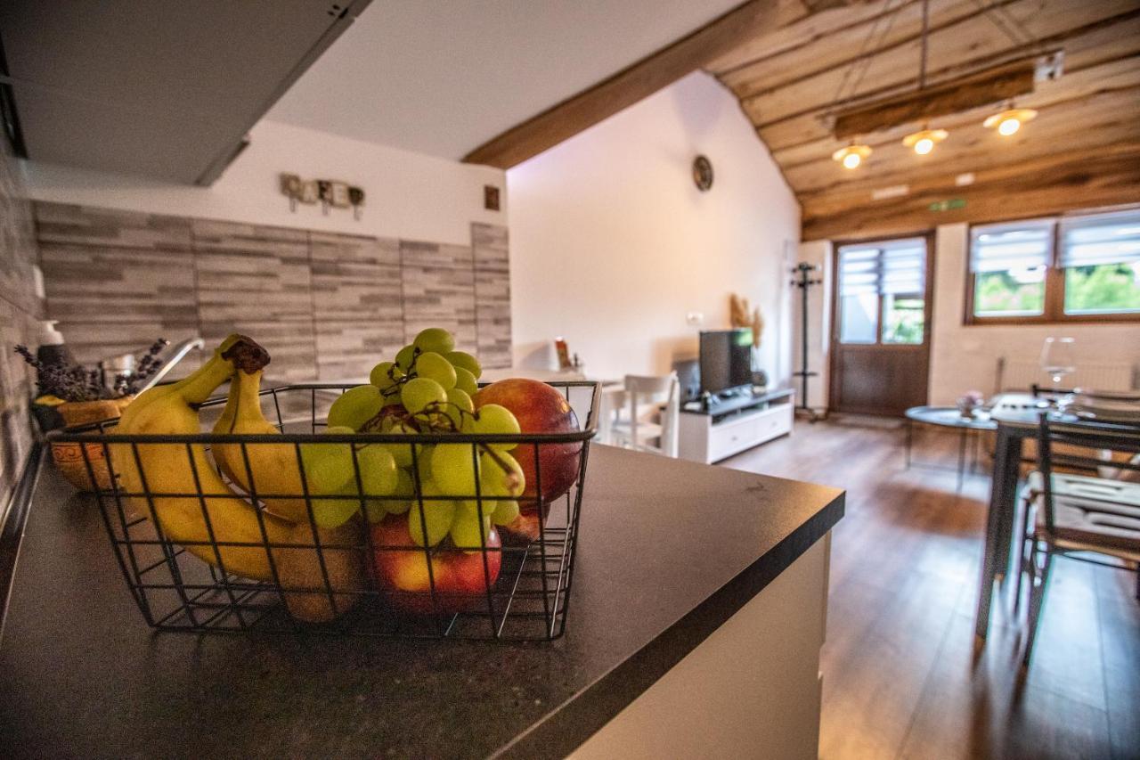 Apartman Mila Josipdol Exterior foto